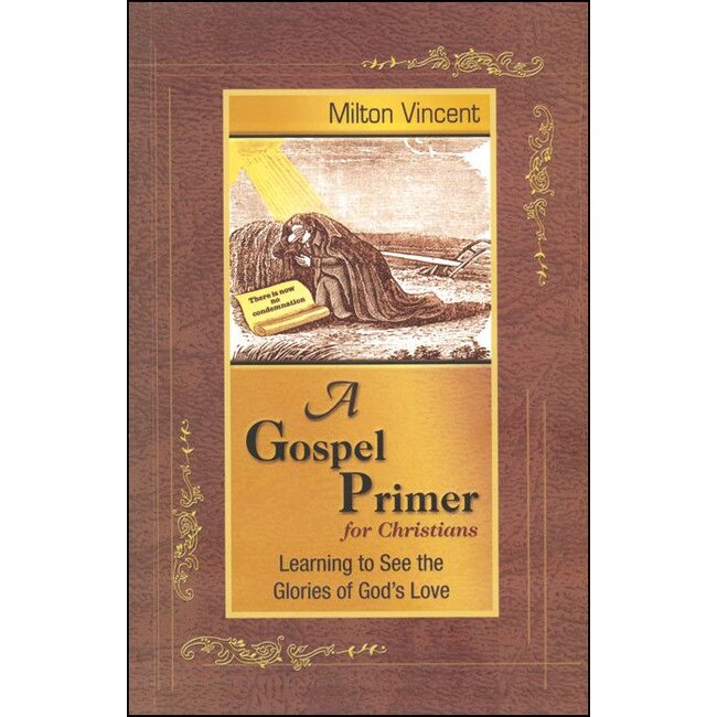 A Gospel Primer for Christians: Learning to See the Glories of God's Love