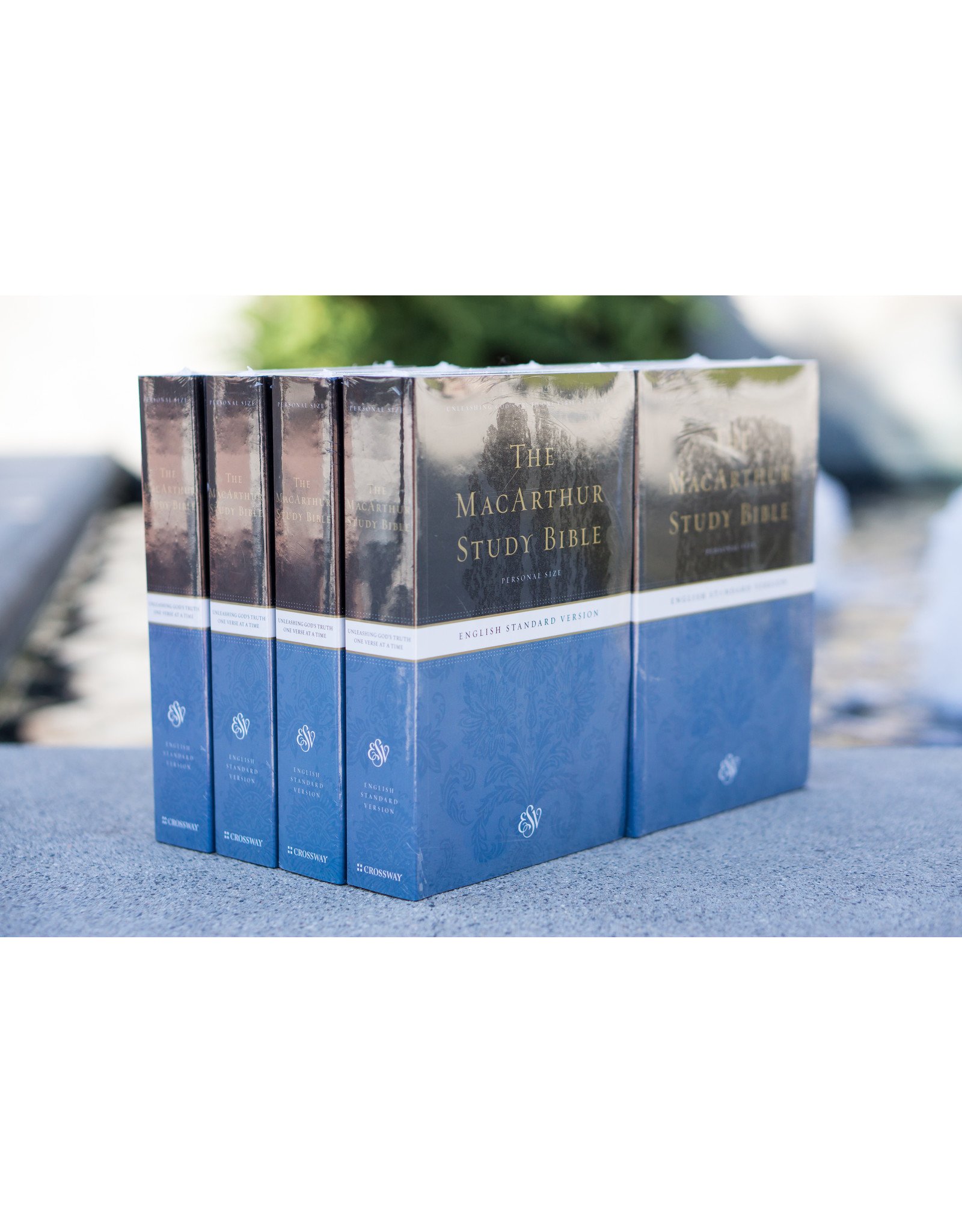 ESV MacArthur Study Bible, Personal Size (Paperback): 12 Count