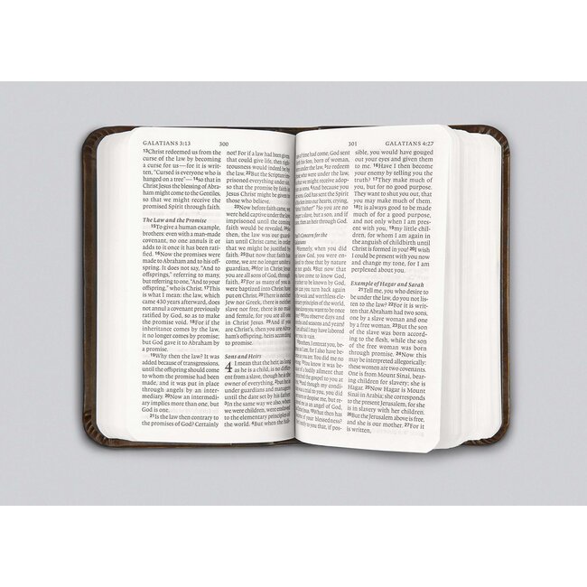 ESV Vest Pocket NT with Psalms and Proverbs (Trutone, Silver Sword)