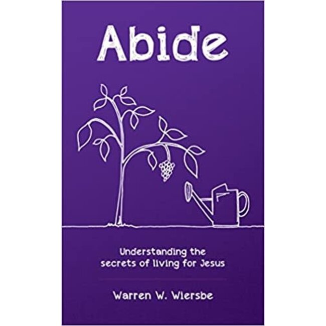 Abide: Understanding the Secrets of Living for Jesus