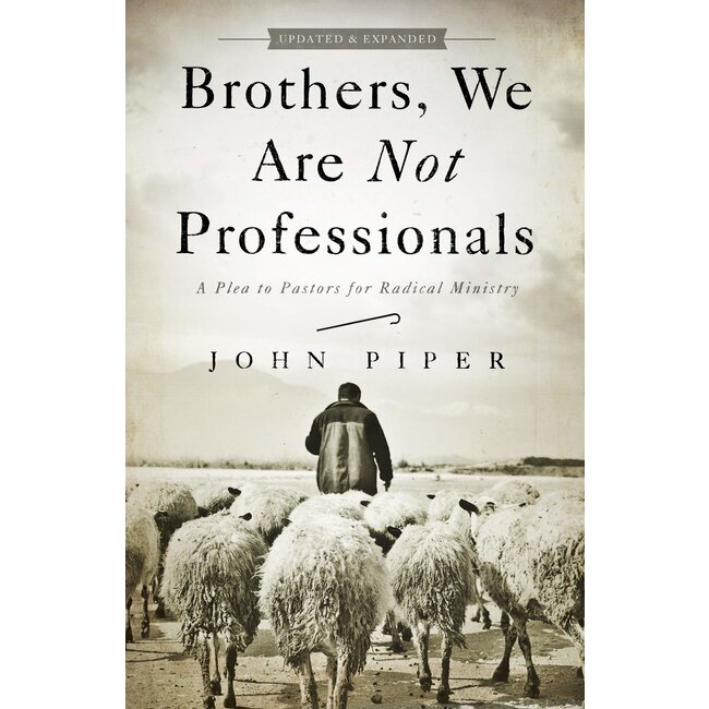 Brothers, We Are Not Professionals: A Plea to Pastors for Radical Ministry (Updated ed.)