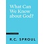 Ligonier / Reformation Trust What Can We Know about God?