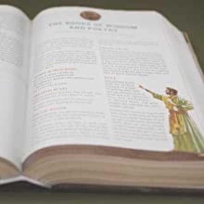 ESV Following Jesus Bible