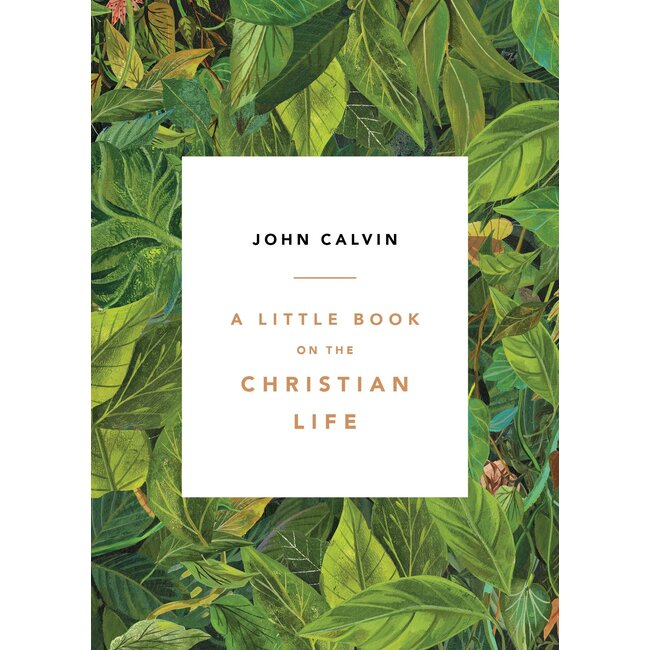 A Little Book on the Christian Life