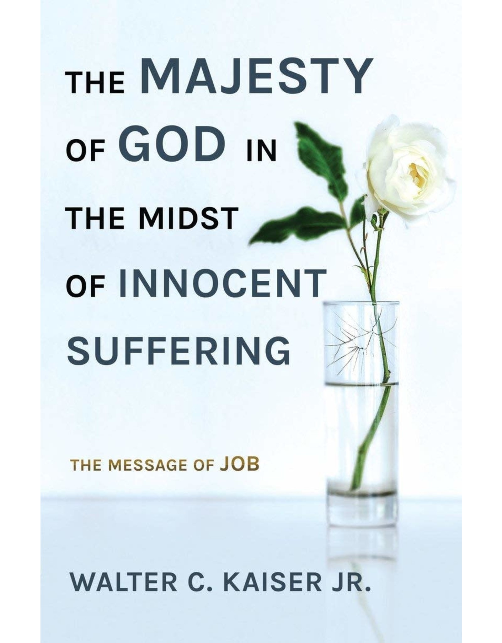 Christian Focus Publications (Atlas) Majesty of God in the Midst of Innocent Suffering: The Message of Job