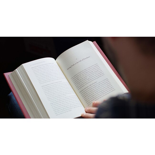 Providence by John Piper