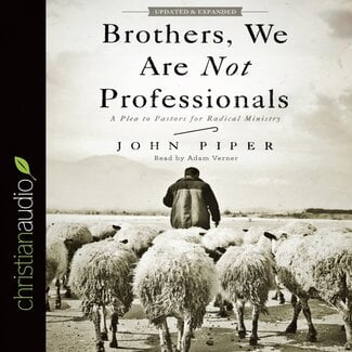 Broadman & Holman Publishers (B&H) Brothers, We Are Not Professionals, 2nd Ed. (Audio CD)
