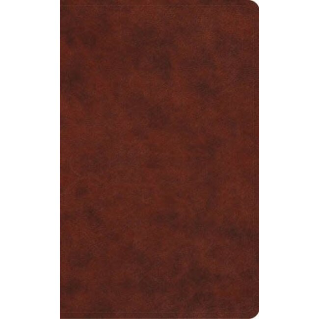 ESV Vest Pocket NT with and Psalms Proverbs (Trutone, Chestnut)