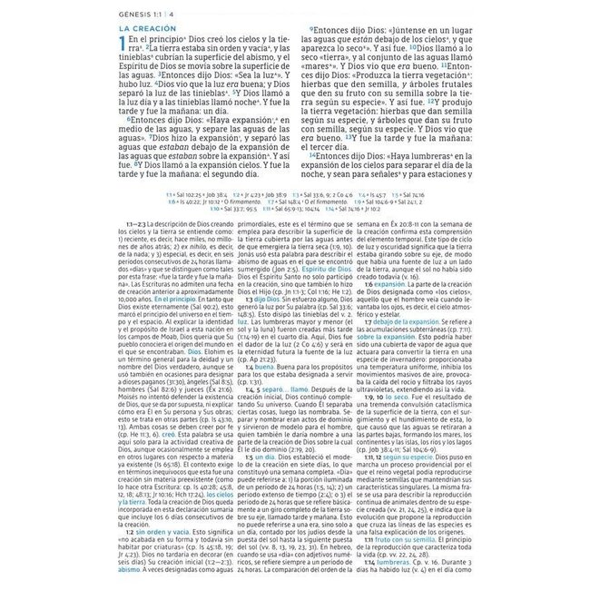 NBLA Biblia de Estudio MacArthur, Leathersoft, Café (NASB MSB 2nd Edition Leathersoft Brown -Span)