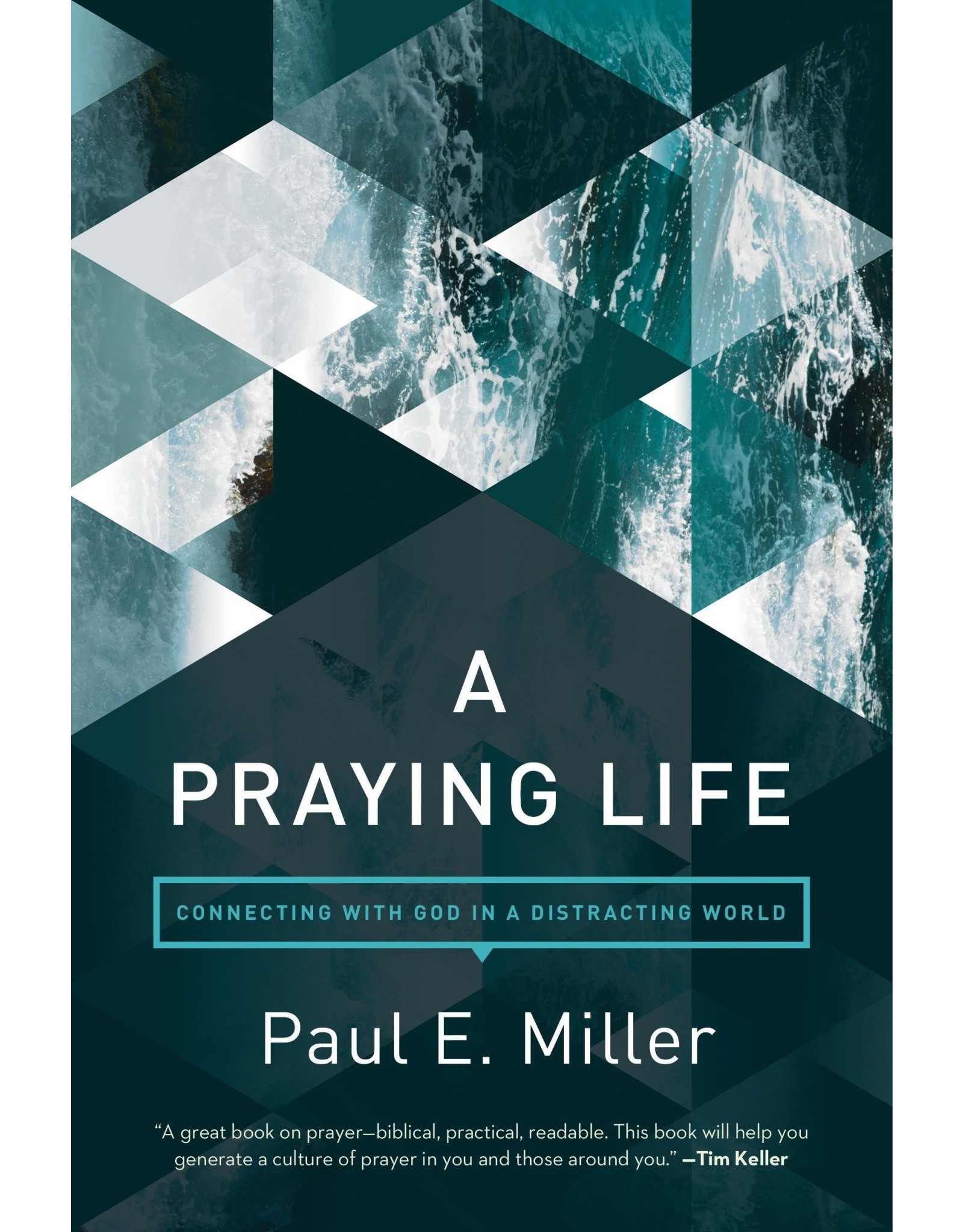 NavPress / Tyndale A Praying Life: Connecting with God in a Distracting World