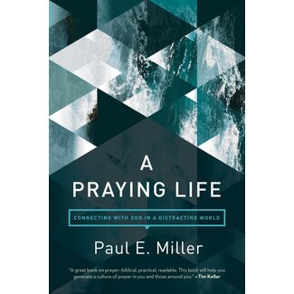 NavPress / Tyndale A Praying Life: Connecting with God in a Distracting World