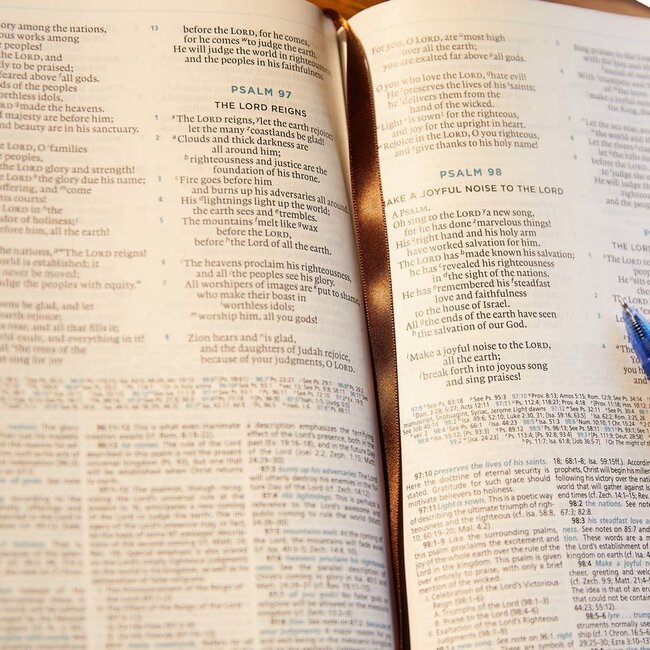 ESV MSB MacArthur Study Bible, Black Leathersoft (2nd edition)