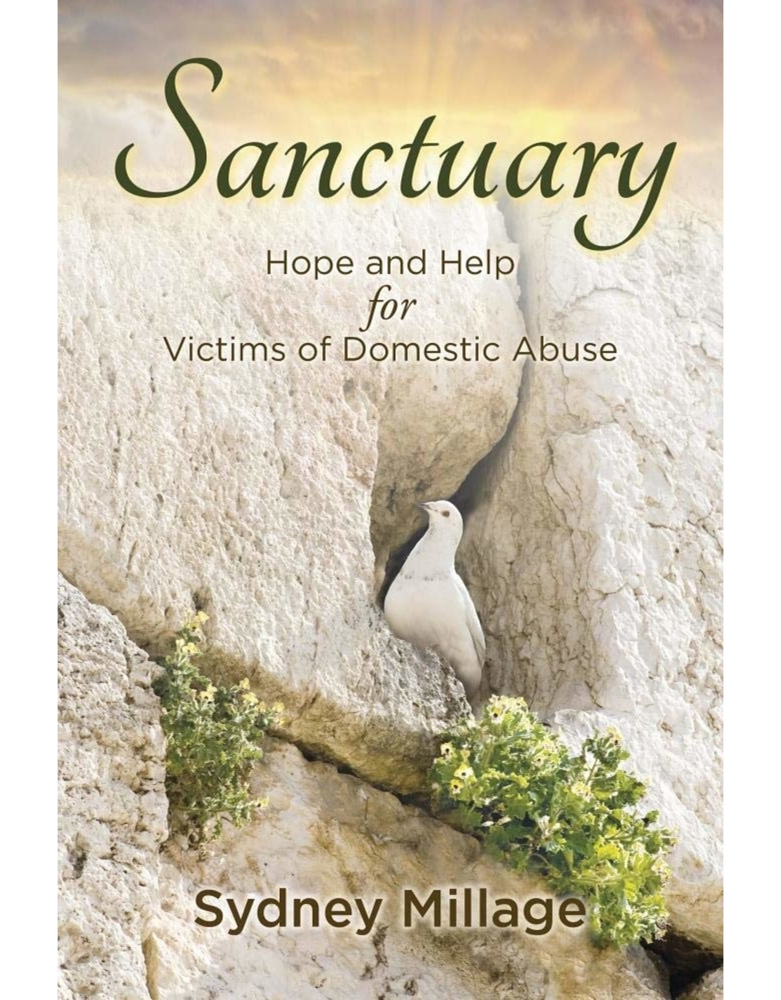 Focus Publishing Sanctuary: Hope and Help for Victims of Domestic Abuse