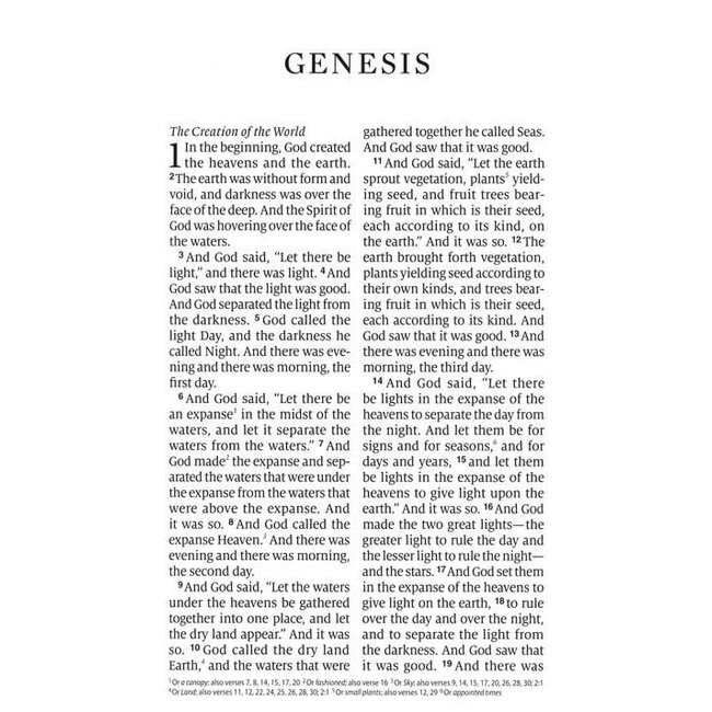 ESV Large Print Personal Size (engraved mantle)