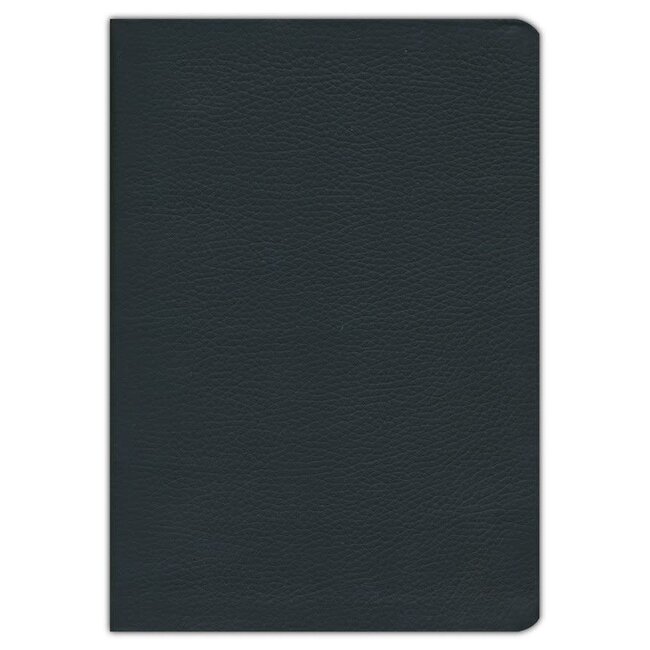 La Biblia De Estudio De La Reforma (piel negra) (The Reformation Study Bible, Spanish)
