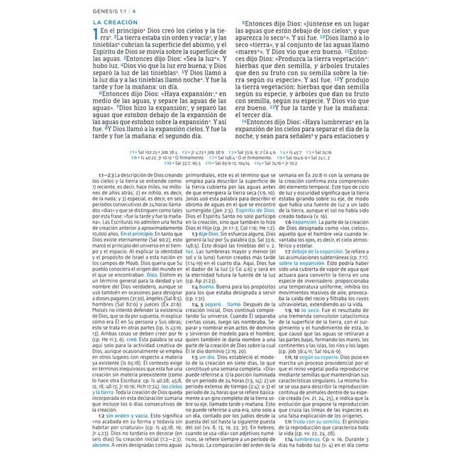 La Biblia De Estudio De La Reforma (piel negra) (The Reformation Study Bible, Spanish)
