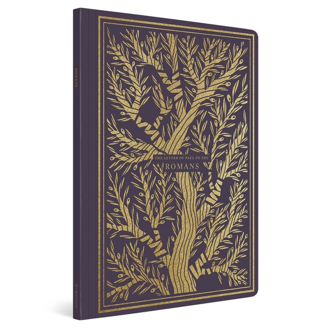 ESV Illuminated Scripture Journal: Romans