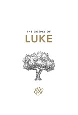 The Good Book Company The Gospel of Luke (20pk)