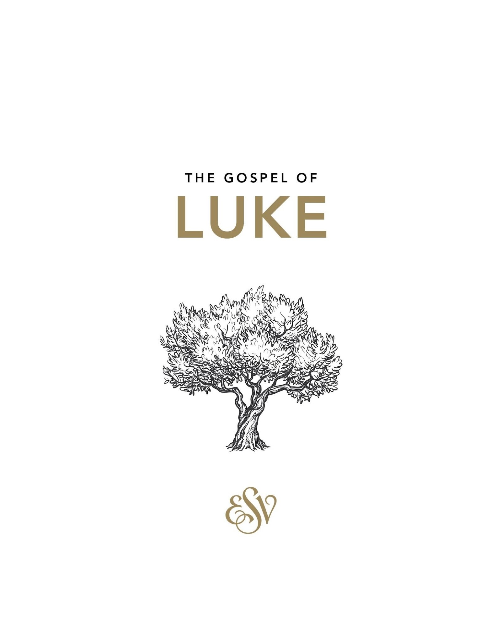 The Good Book Company The Gospel of Luke (20pk)