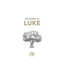 The Good Book Company The Gospel of Luke (20pk)