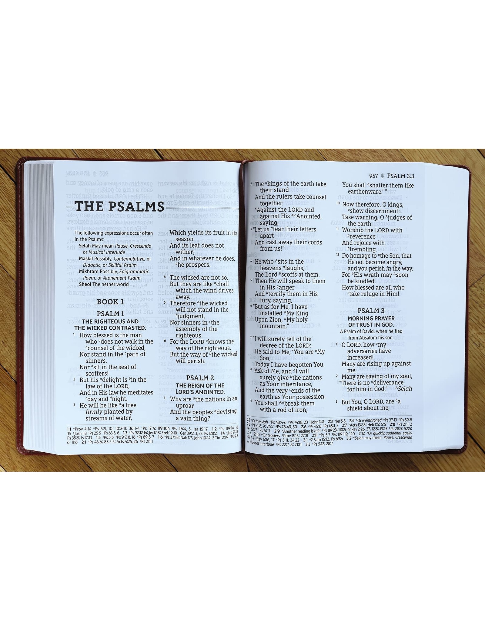 Harper Collins / Thomas Nelson / Zondervan NASB Super Giant Print Reference Bible, Leathersoft Brown