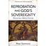 Reprobation and God's Sovereignty (Hardcover)