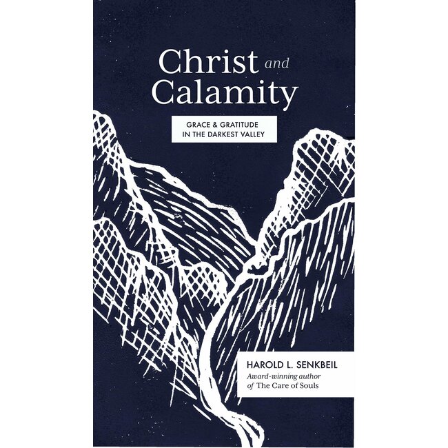 Christ and Calamity: Grace & Gratitude in the Darkest Valley (Hardcover)