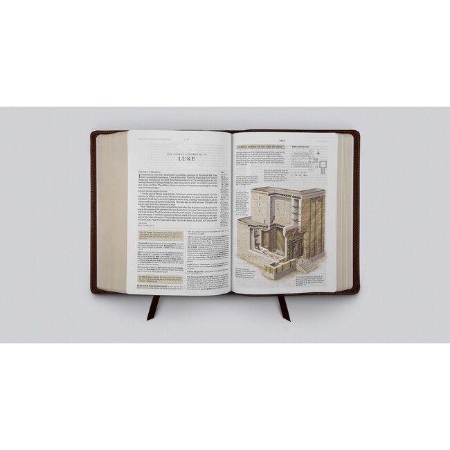 ESV Study Bible (Cowhide, Deep Brown)