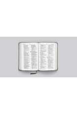 Crossway / Good News ESV Compact Bible TruTone, Stone, Branch Design