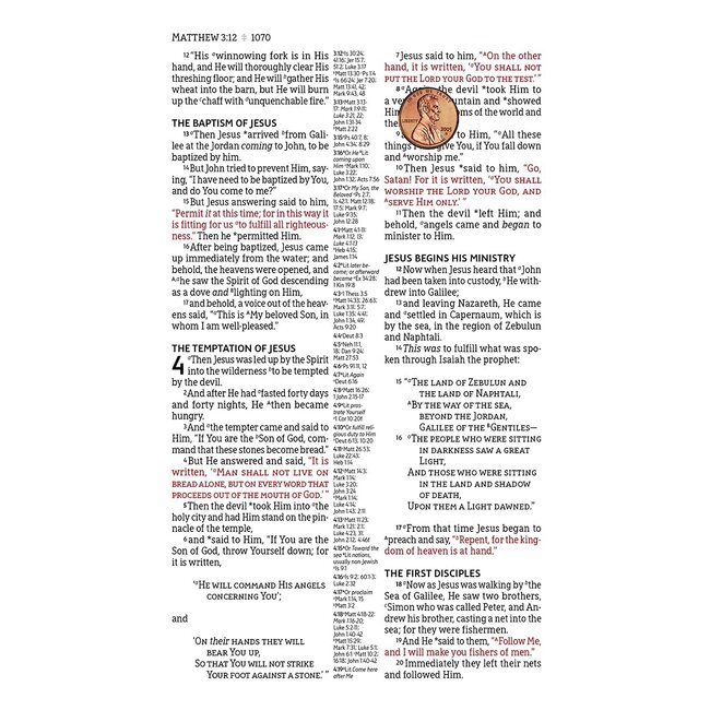 NASB, Classic Reference Bible, Genuine Leather, Buffalo, Brown, Red Letter, 1995 Text, Art Gilded Edges, Comfort Print