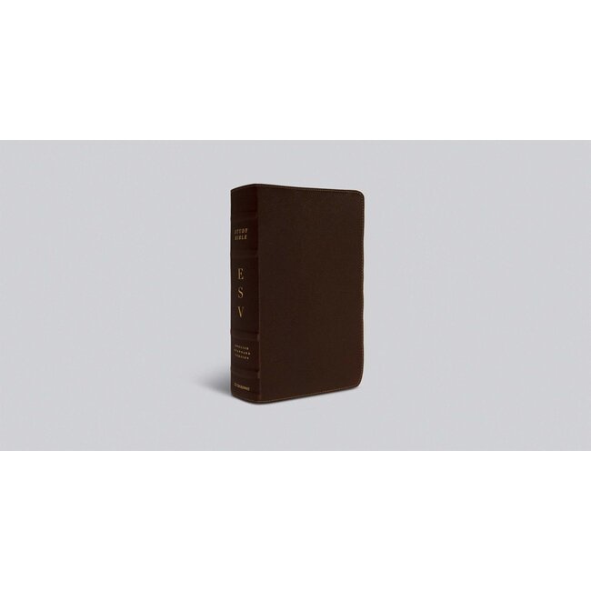 ESV Study Bible (Cowhide, Deep Brown)