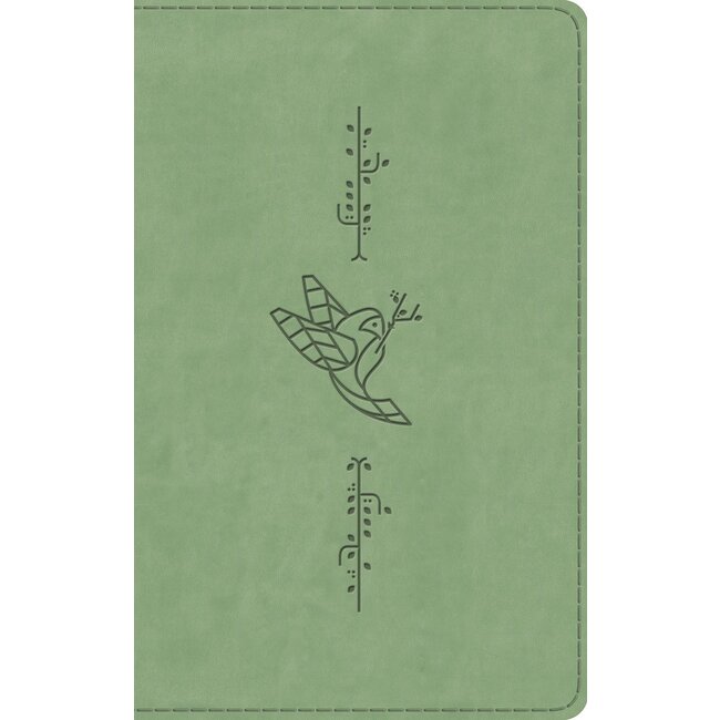 ESV Kid's Bible, Thinline (TruTone, Bird of the Air)