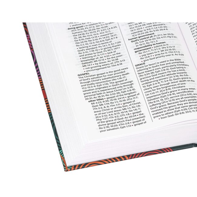 NASB Children's Edition - Hardcover