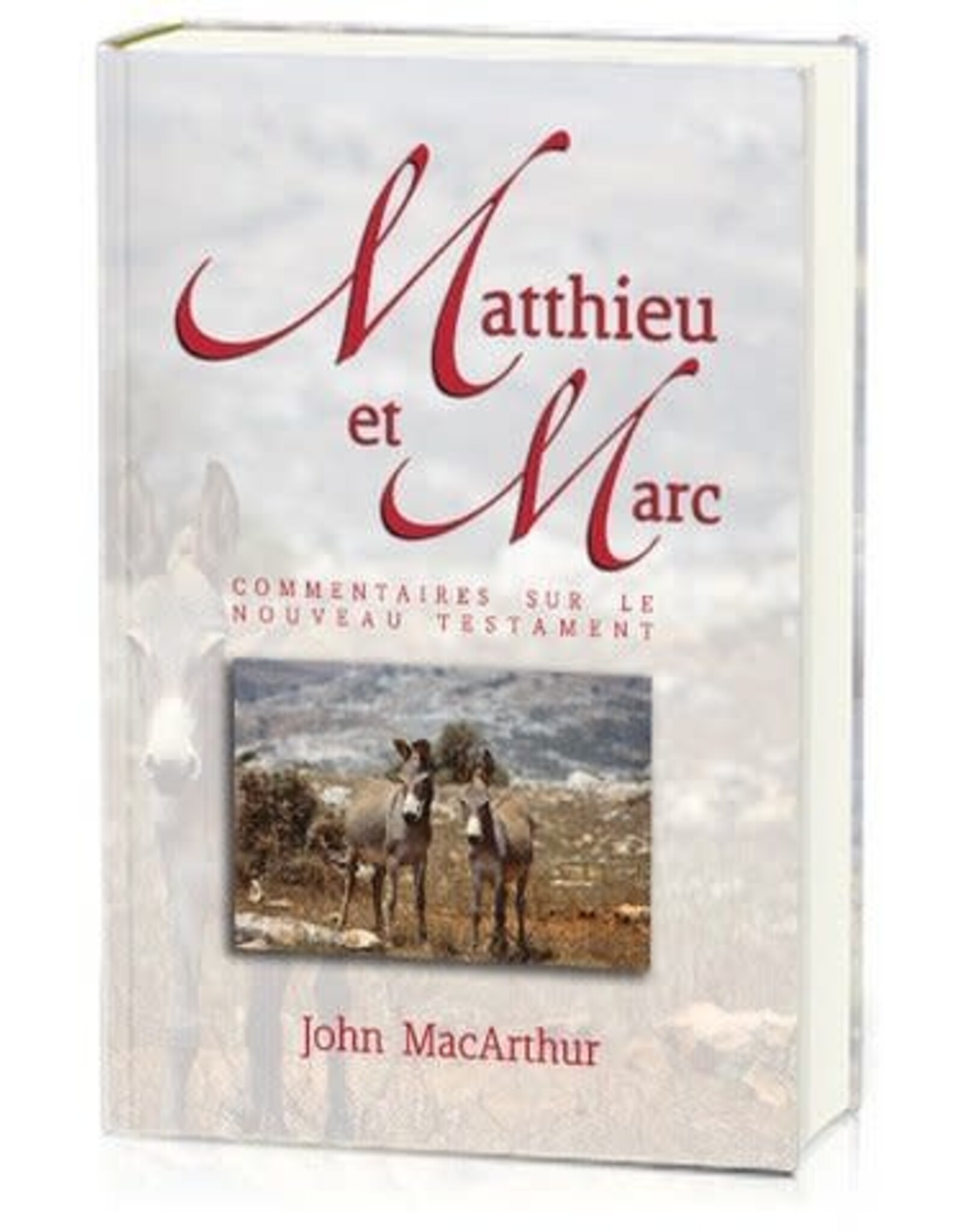 Publications Chretiennes Commentaires sur Matthieu et Marc