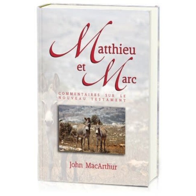 Commentaires sur Matthieu et Marc