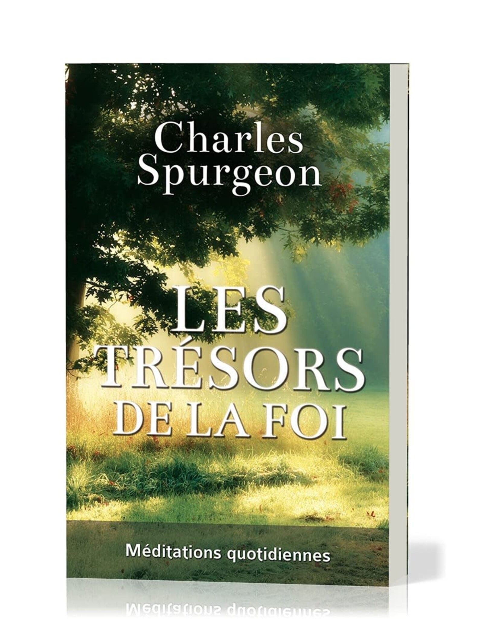 Publications Chretiennes Les trésors de la foi (The Cheque Book for the Bank of Faith [French])