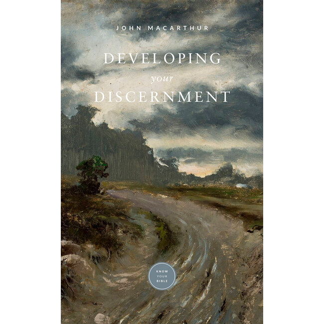 Developing Your Discernment (booklet)