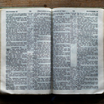 Bibles