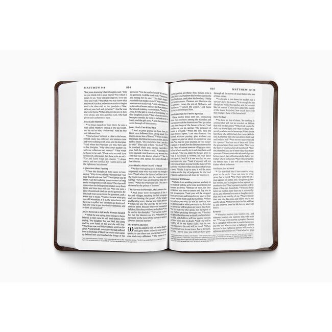 ESV Premium Gift Bible (TruTone, Brown) Imitation Leather