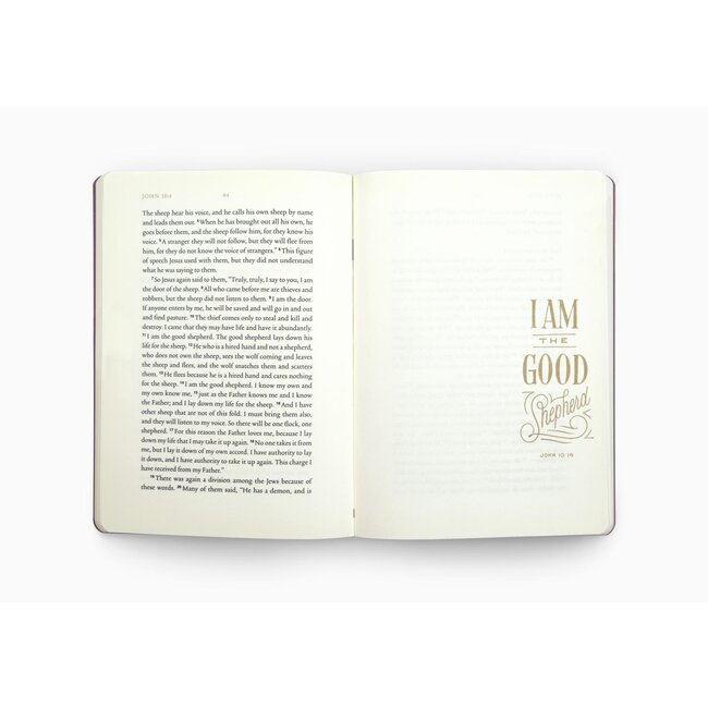 ESV Illuminated Scripture Journal: John