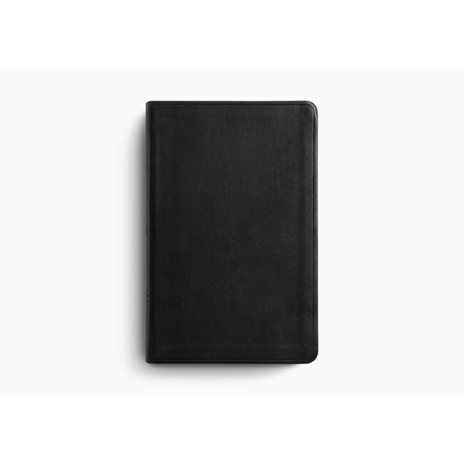ESV Large Print Value Thinline (Trutone, Black)