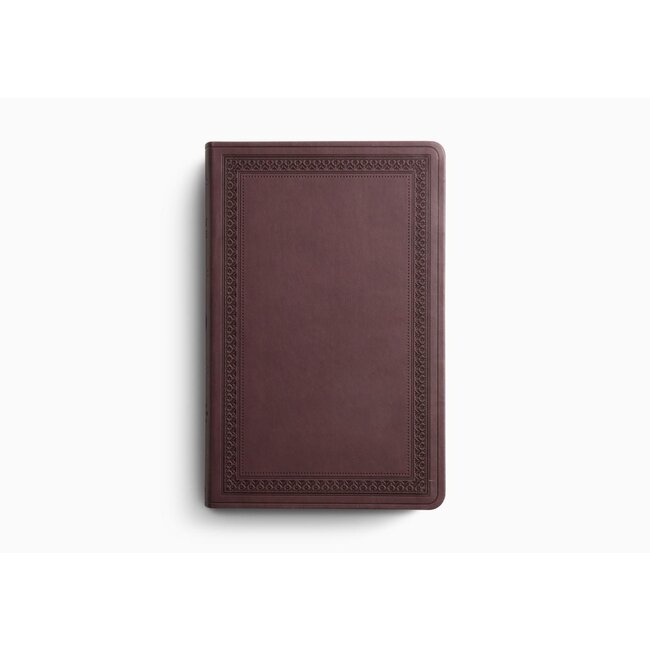 ESV Large Print Value Thinline Bible (TT Mahogan)
