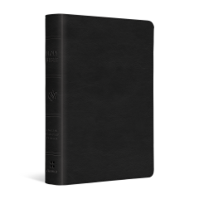 ESV Large Print Compact Bible (TruTone, Black)