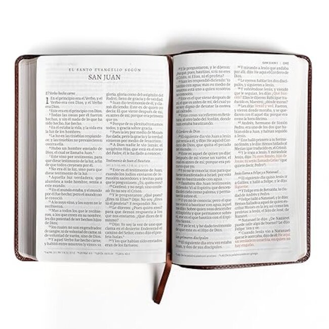 RVR 1960 Biblia letra gigante, café piel fabricada