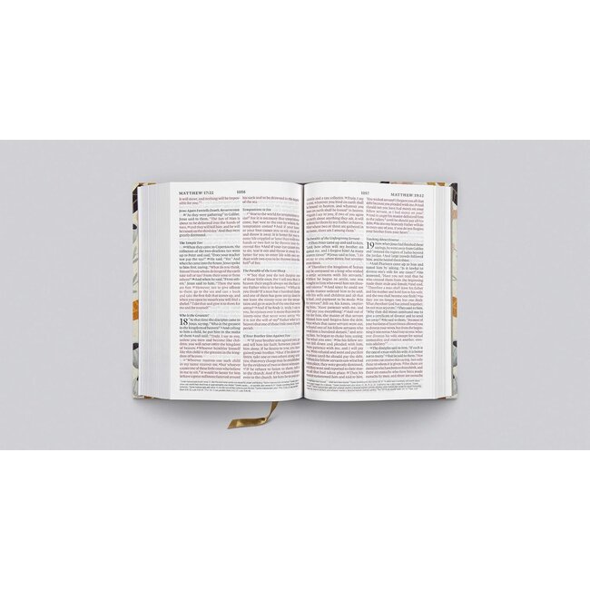 ESV Large Print Compact Bible