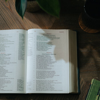 Bibles