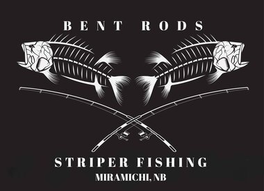 BENT RODS STRIPER FISHING