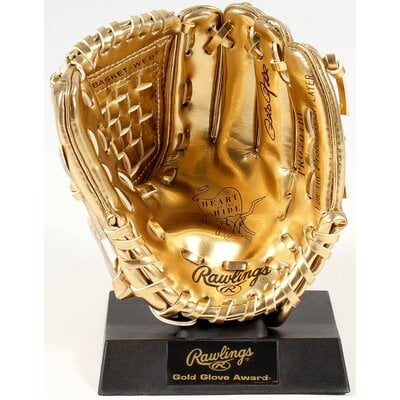 RAWLINGS CUSTOM ENGRAVED NAME PLATE RAWLINGS MINI GOLD GLOVE