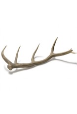 Large Brown Resin Antler