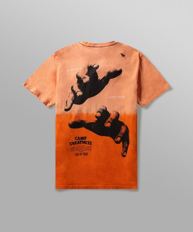 Paper Planes GREATNESS WITHIN REACH TEE 200122SNS